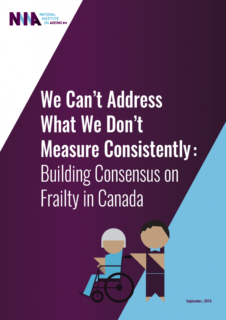 We Can’t Address What We Don’t Measure Consistently report cover